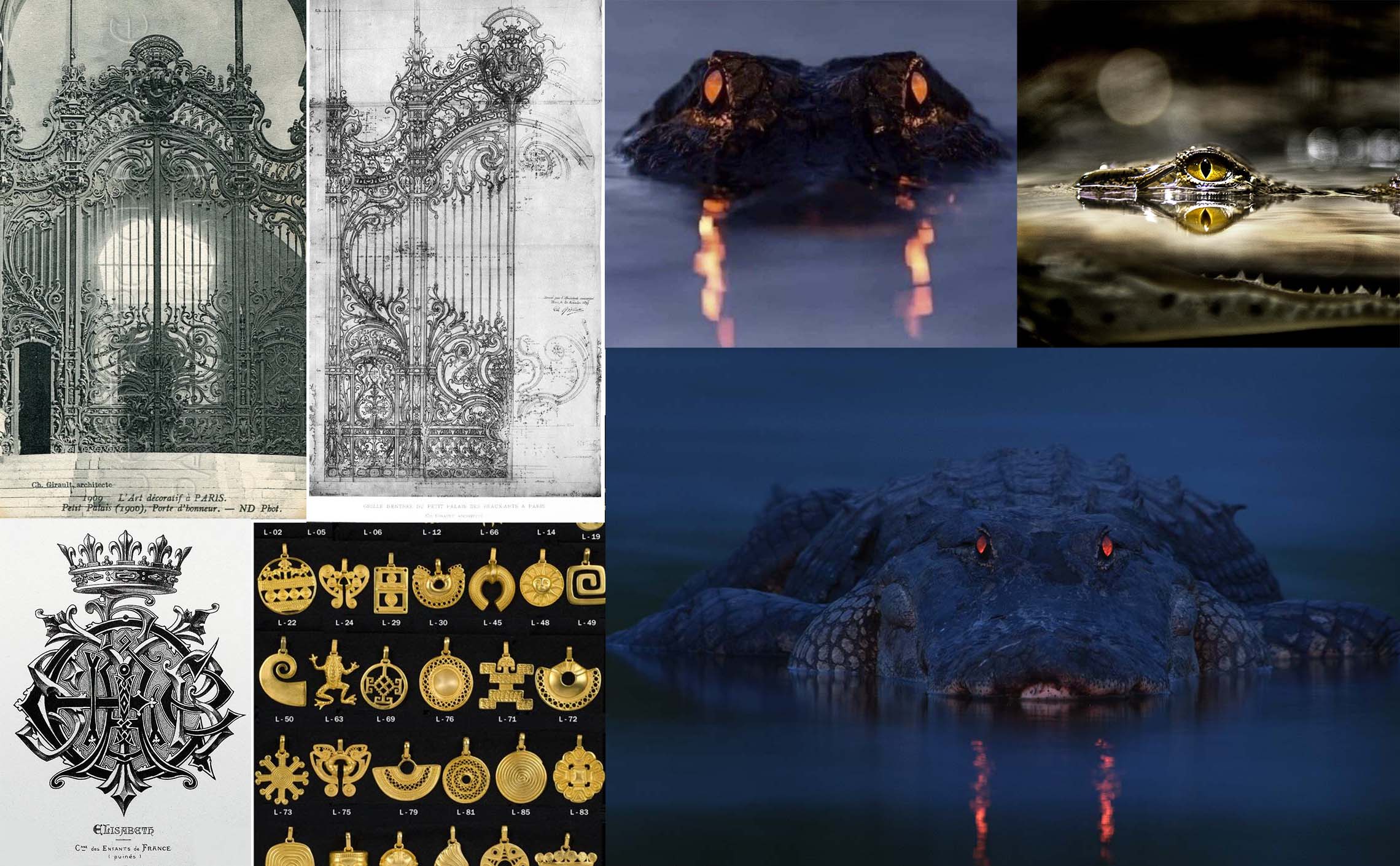 Moodboard and Inspiration Images for The Golden Gator